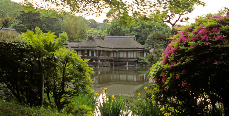 Cómo diseñar un jardín japonés